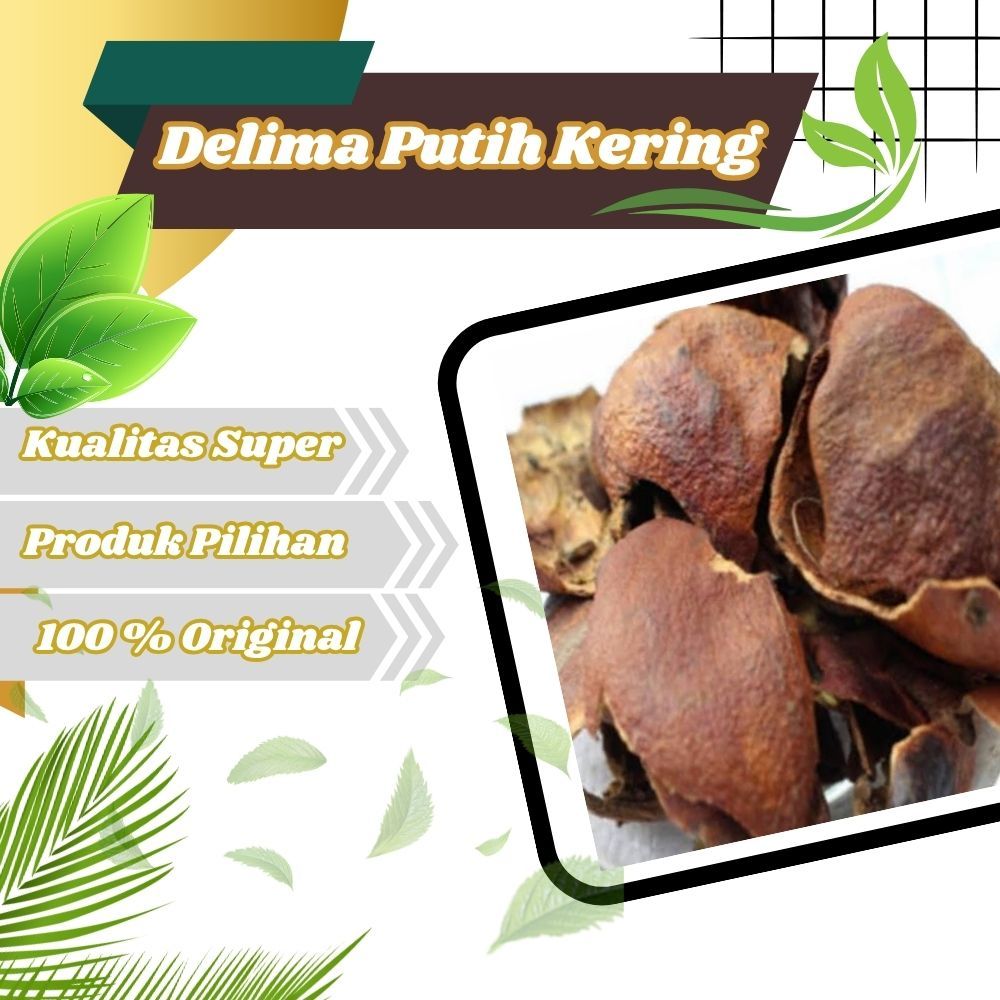 

Jamu Herbal Tradisional Delima Putih Kering Untuk Keputihan