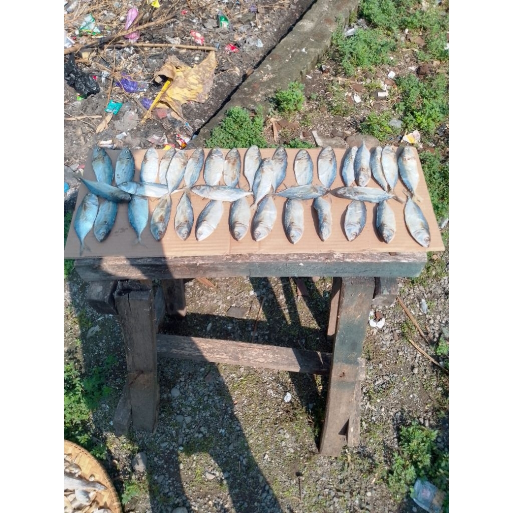 

ikan asin peda / kembung fresh
