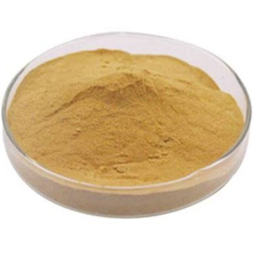 

Bubuk Serbuk Lempuyang Puyang isi 500 Gram