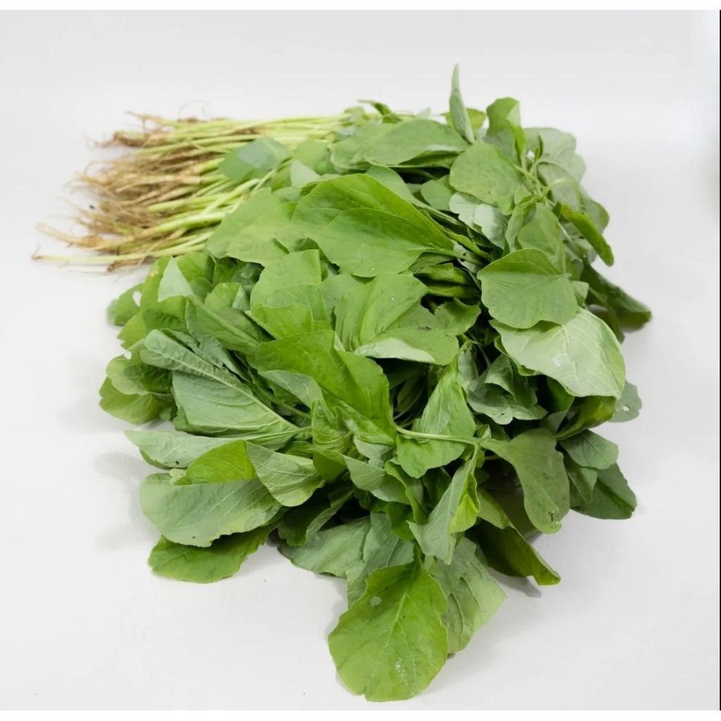 

Sayur bayam fresh || 250 gram || dapur fresh