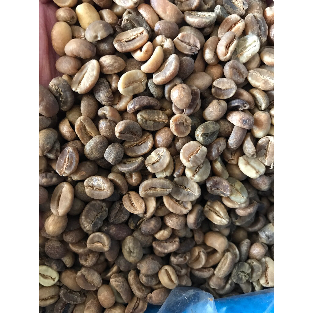 

Green Bean Arabika Gayo Wine G1