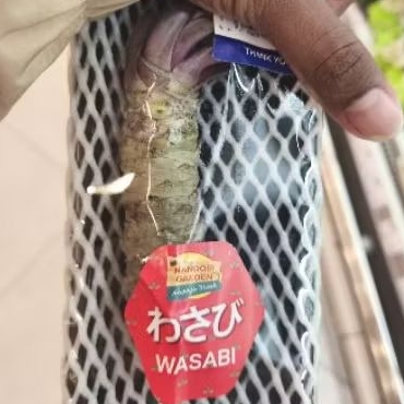 

Wasabi root fresh gift pack -+50 gram