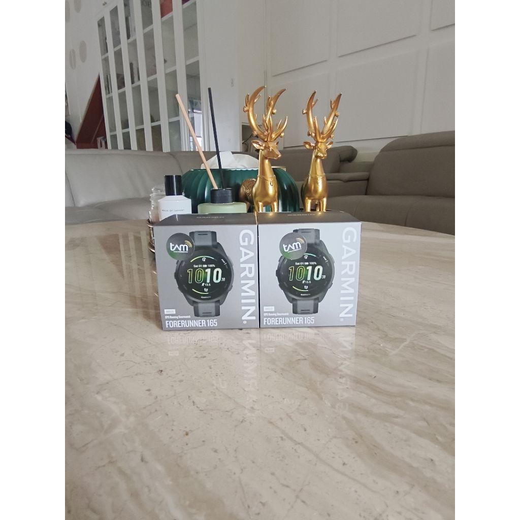 GARMIN FORRUNNER 165 WHITE STONE BNIB