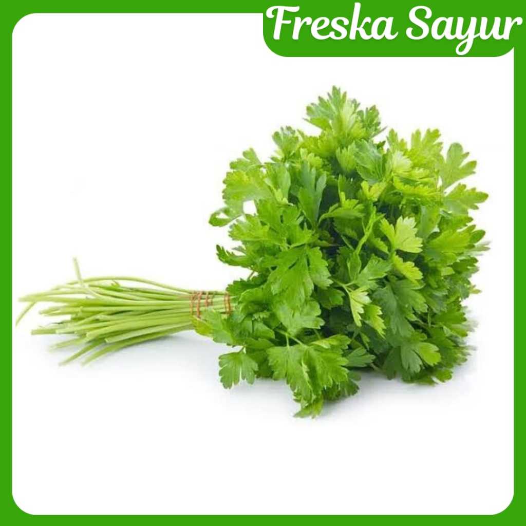 

SERBA 10.000 I Daun Seledri Segar I Daun Seledry