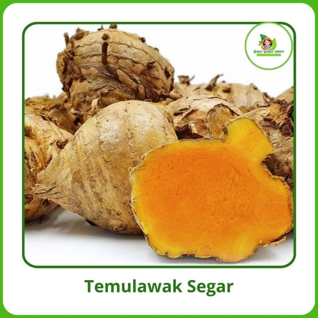 

Temulawak Segar Kualitas Premium [500g/1kg] Murah bisa COD