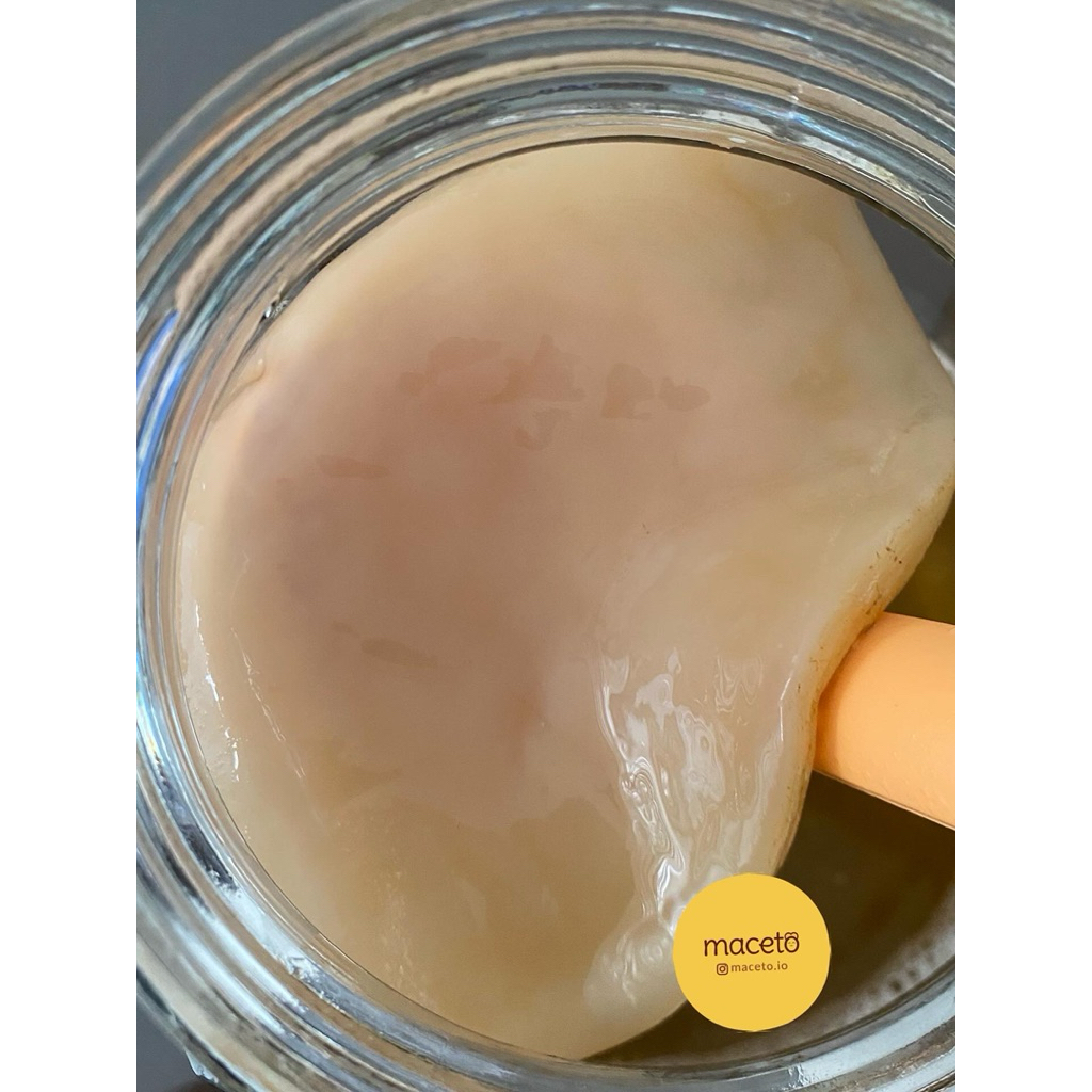 

Scoby Hotel