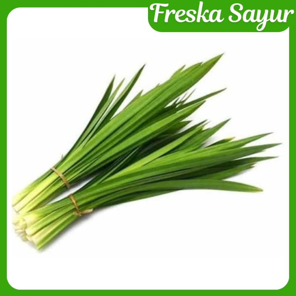

Daun Pandan I Aroma Pandan Asli Untuk Masak I Pewangi Alami Masakan & Kue Tradisional
