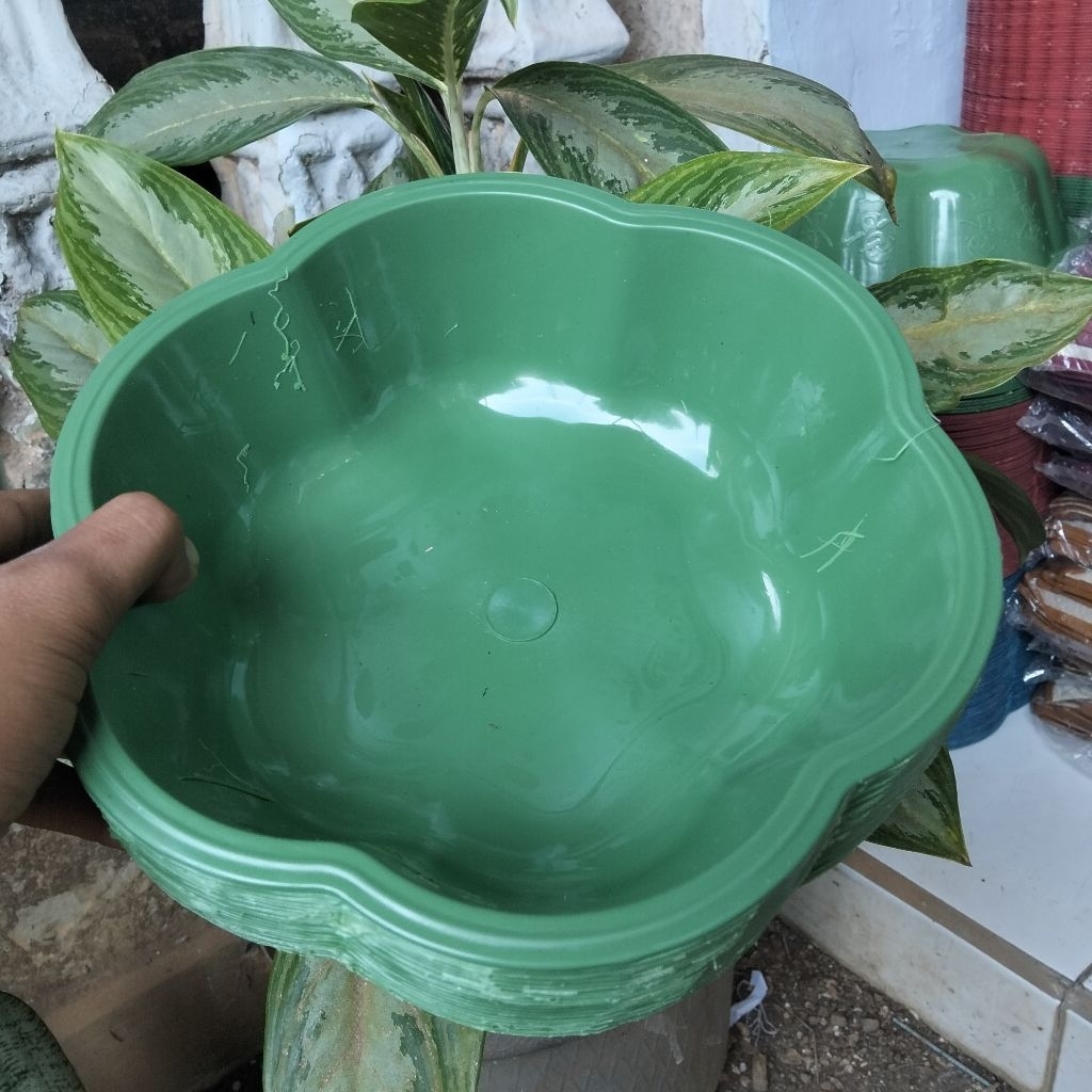 wadah nasi#baskom wamar#wadah berkat 1lusin isi 12