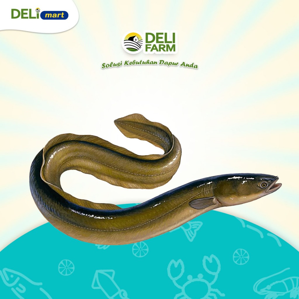 

Deli Mart [Khusus INSTAN Medan] Belut by Deli Farm