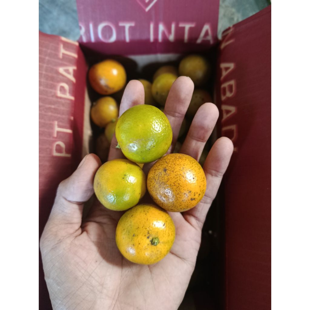 

1kg Keruk Kasturi (MATANG) Langsung Dari Petani