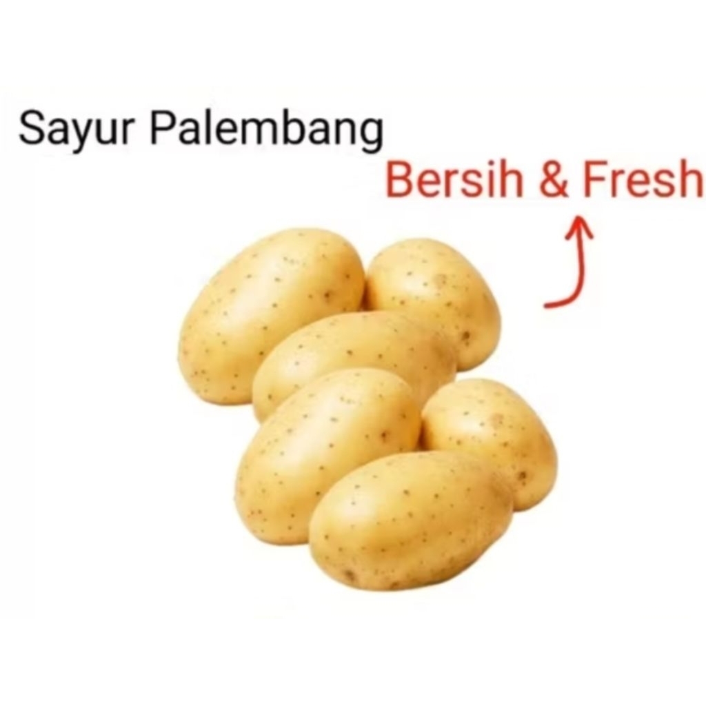 

Kentang - Palembang