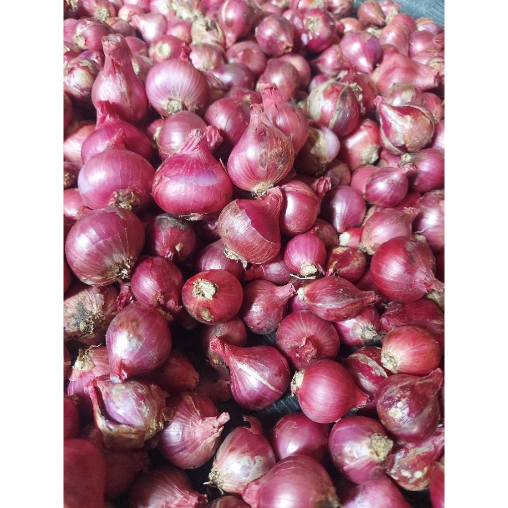 

Bawang Merah Segar Murah Berkualitas ¼ kg, Brambang 250 gram