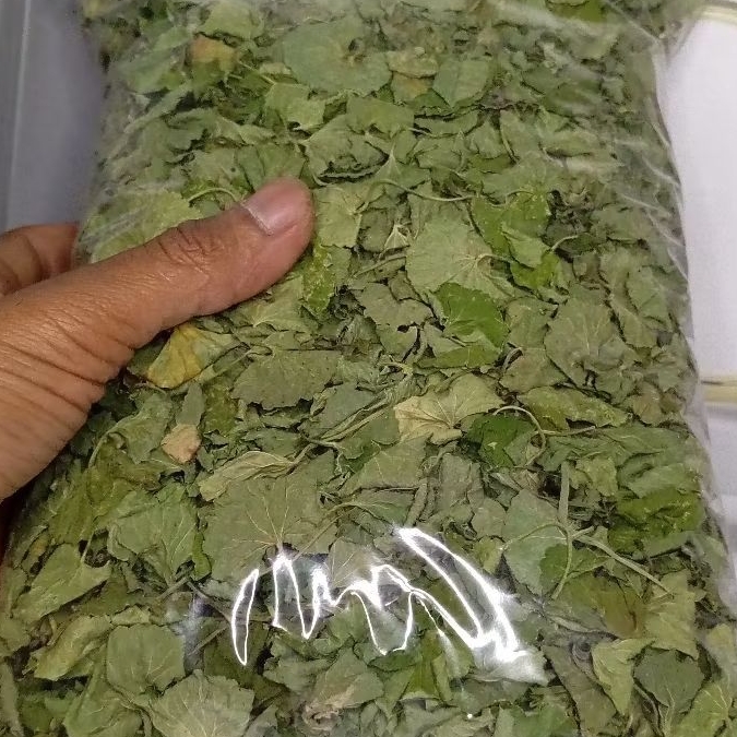 

Daun pegagan kering tanpa batang paket 200 gram