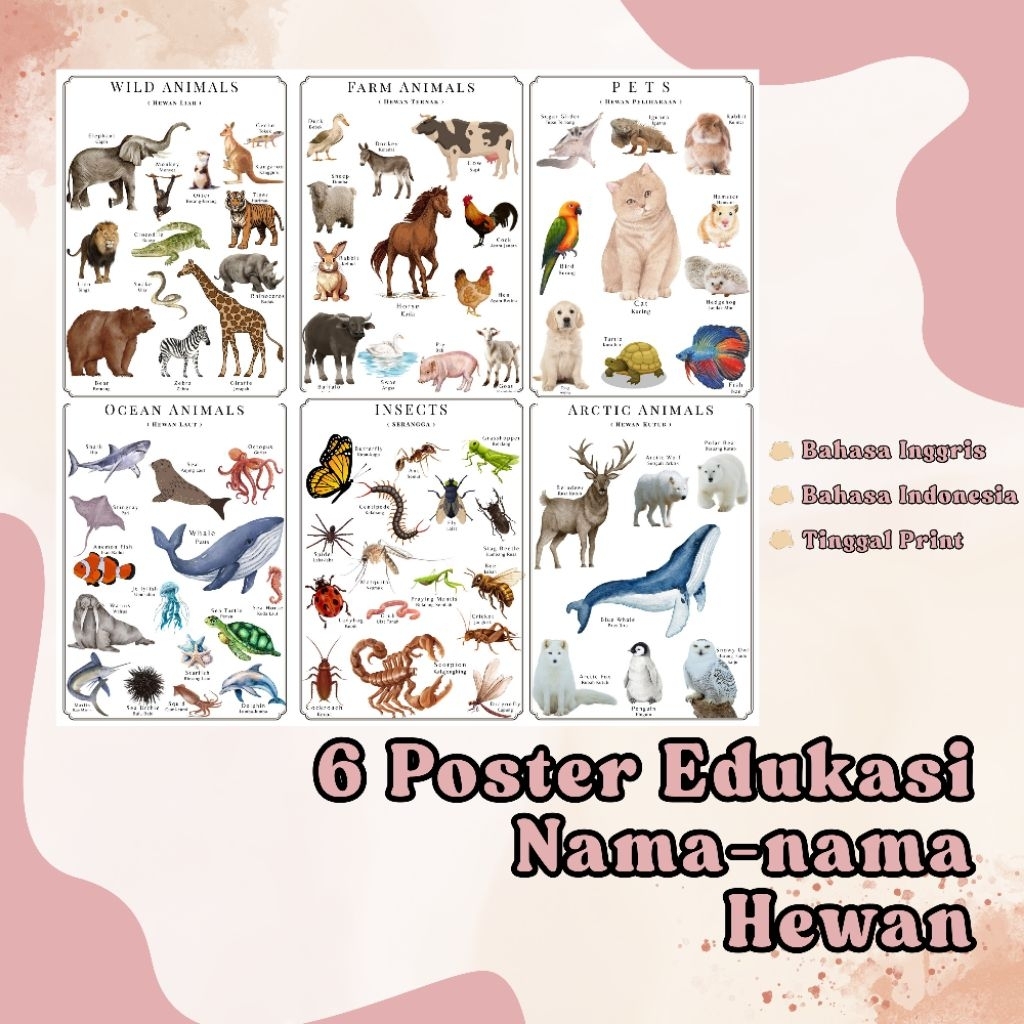 Poster nama hewan Inggris Indonesia Print Sendiri