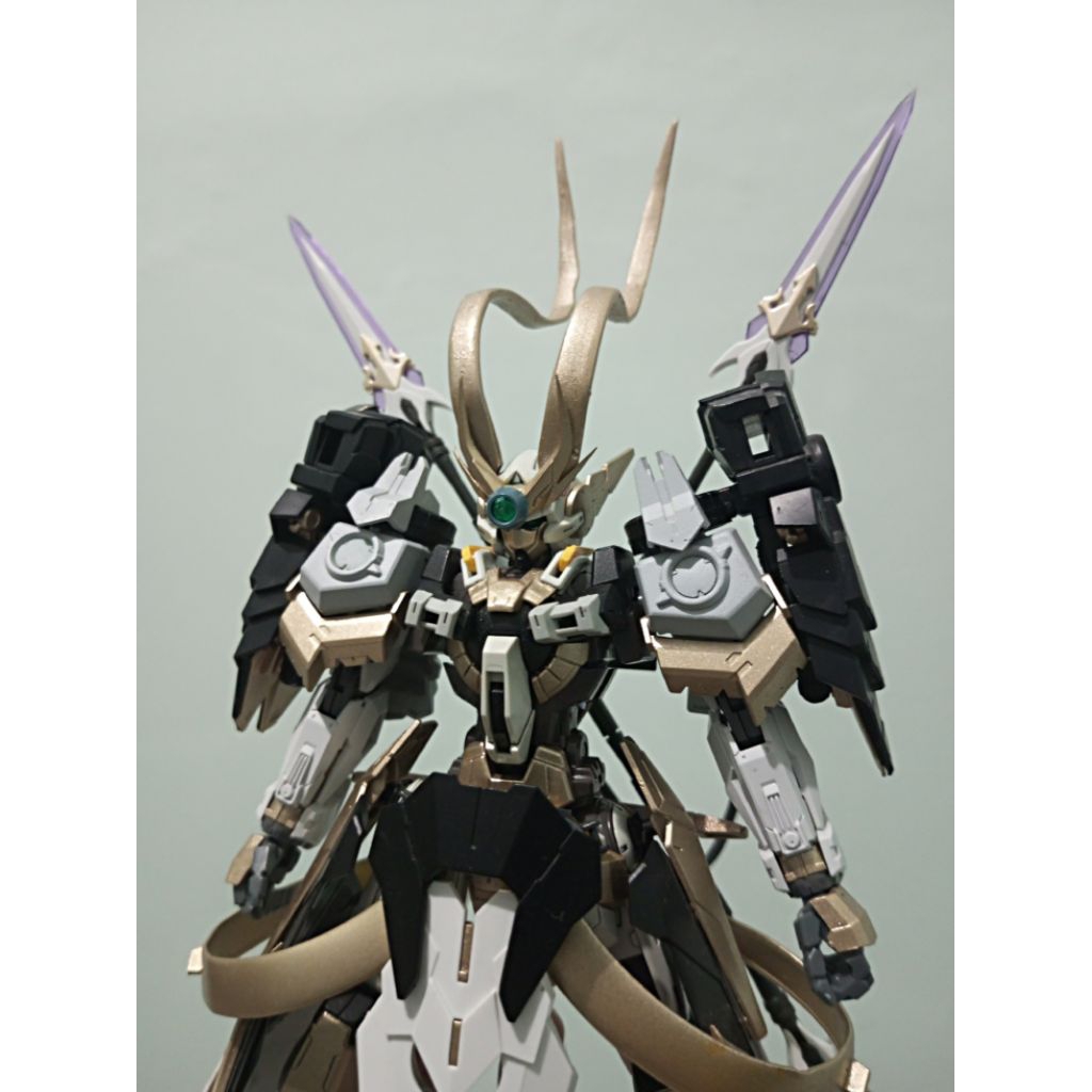 Gundam mg custom astraea astray sengoku not hg rg