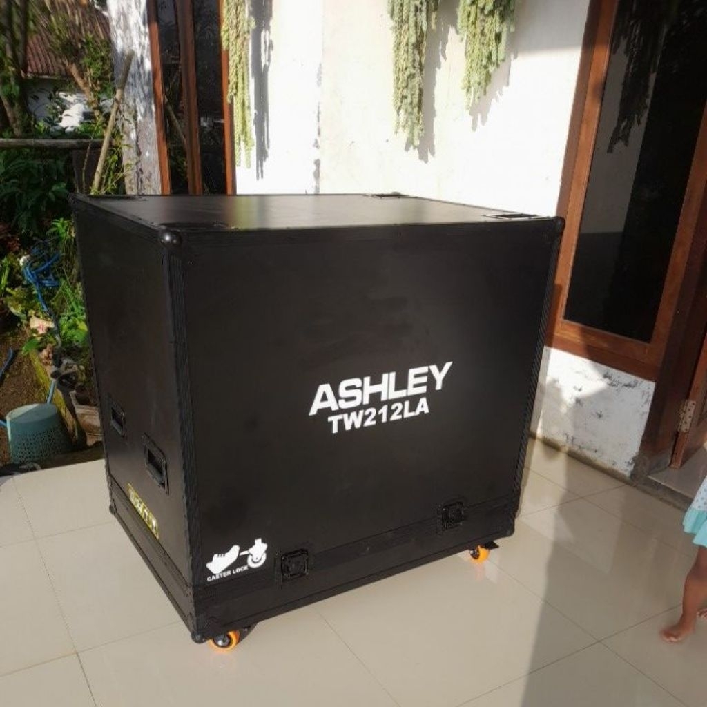 hardcase line array ashley tw212 La