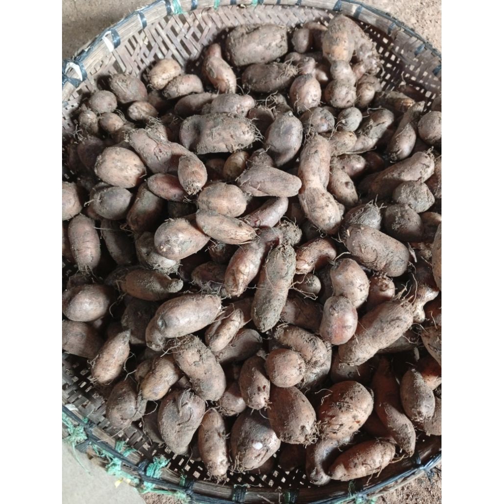 

1kg Kumbili / Kentang hitam / Gembil /Ubi /Kentang ungu