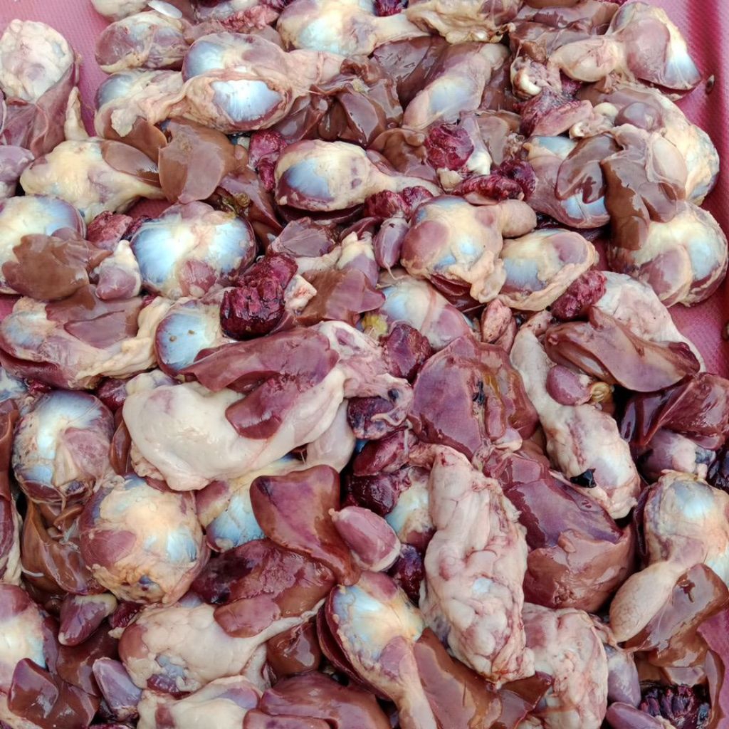 

ati ampela(10pcs)
