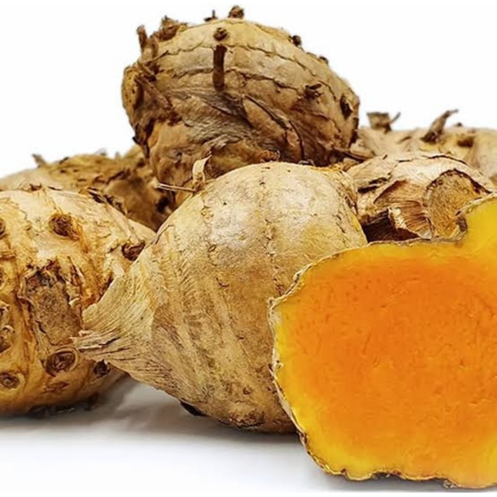 

Temu Lawak Fresh Hasil Kebun Kualitas Terbaik