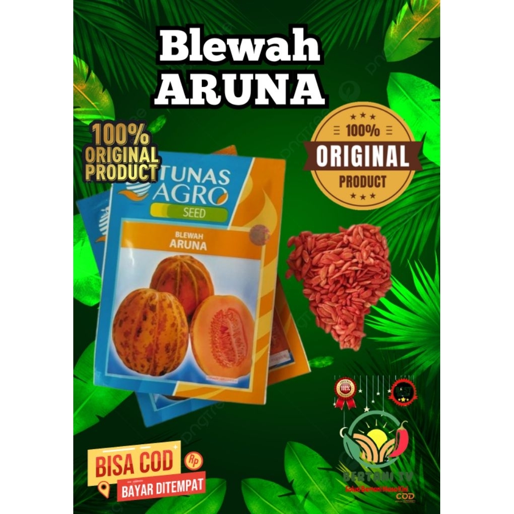 

Blewah Aruna 15 gr, Bentuk: Oval. Kulit: Kuning muda dengan bercak hijau keabu-abuan. Daging: Orange. Berat: Sekitar 2 kg. Kadar Gula: Sekitar 13% (brix). Jumlah Buah per Tanaman: 4 buah. Rasa: Manis.