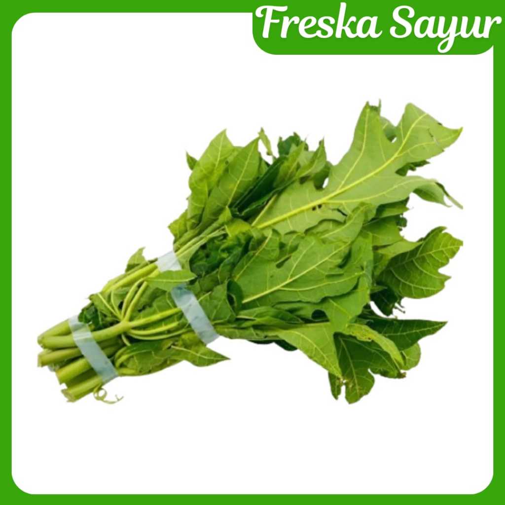

Daun Pepaya Segar 1 Ikat Besar | Cocok Untuk Sayur Pecal