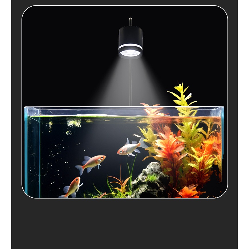 Lampu Aquarium LED WRGB 18 watt Lampu Sorot Akuarium Aquascape FloodLight