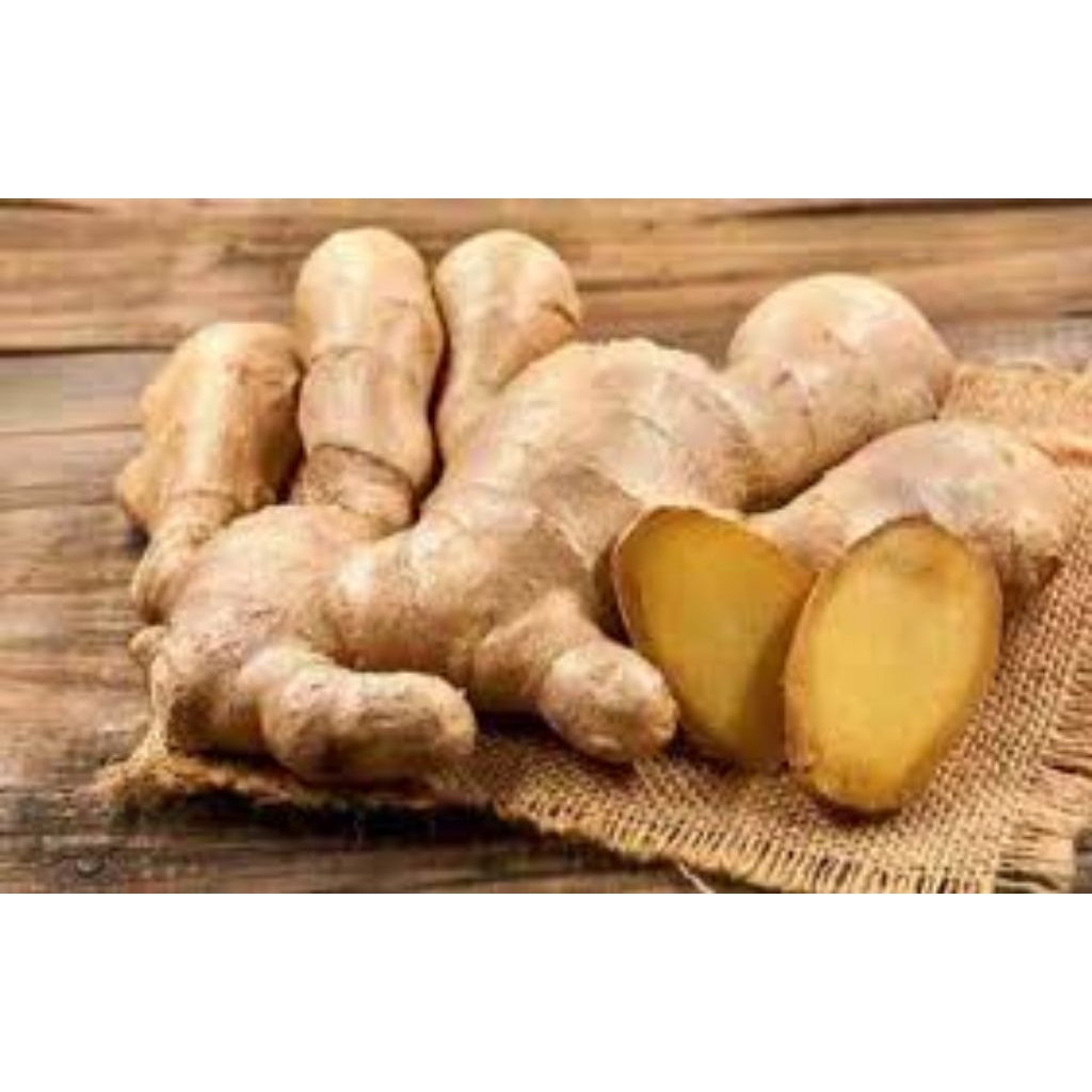 

jahe asli isi 100 pcs