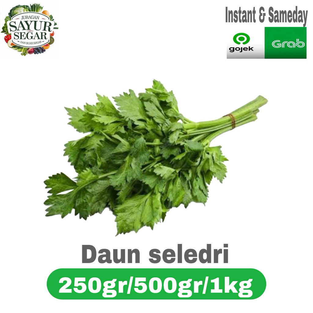 

Daun seledri 250gr/500gr/1kg INSTANT