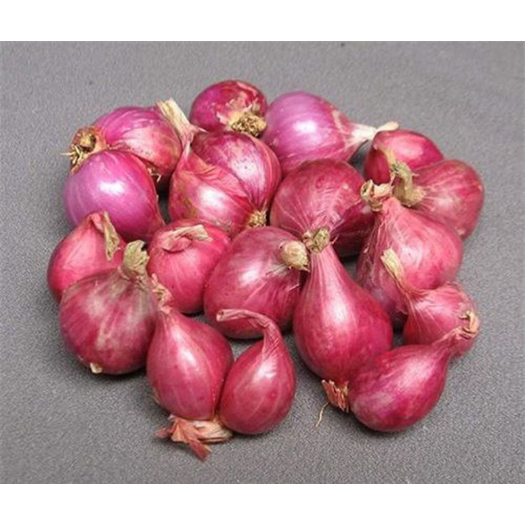 

Bawang merah Probolinggo bersih kering 500 gram