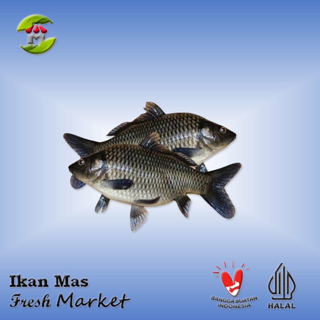 

[BOGOR] Ikan Mas Tawar Pack 900gr - 1kg