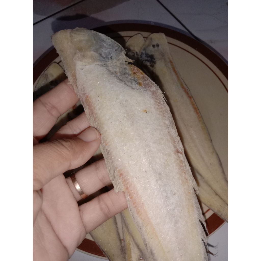 

ikan asin lendra 500 gram