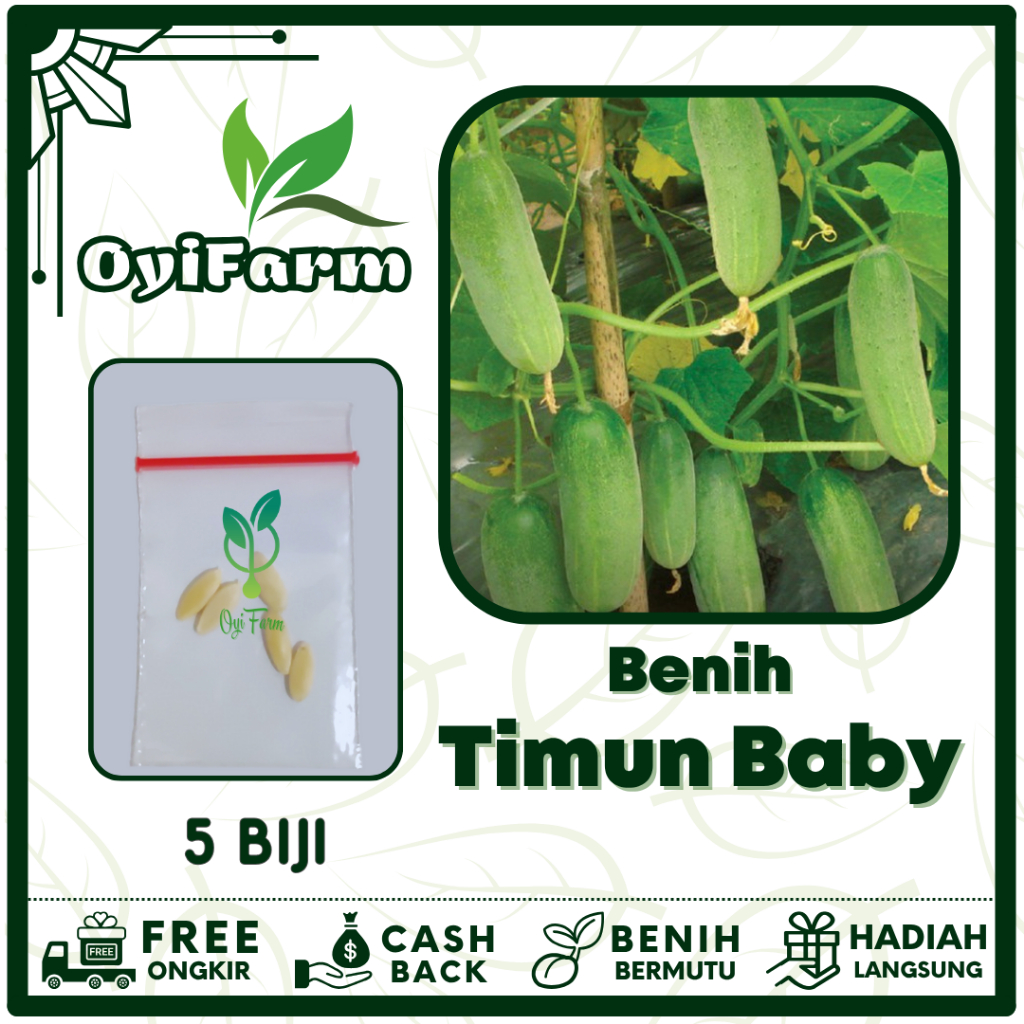 Bibit Timun Baby Gurih - Benih Sayuran