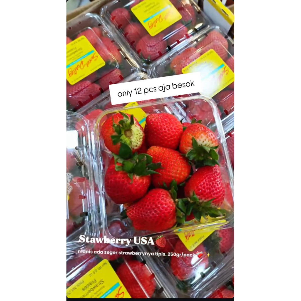 

Strawberry USA / STRAWBERRY IMPORT