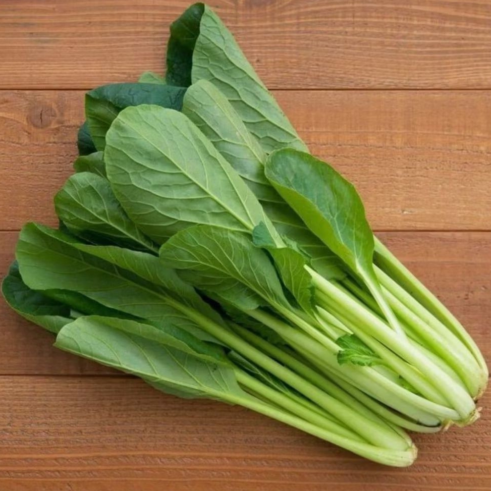 

INSTAN KOTA JAMBI Sayur Sawi Manis 250gr