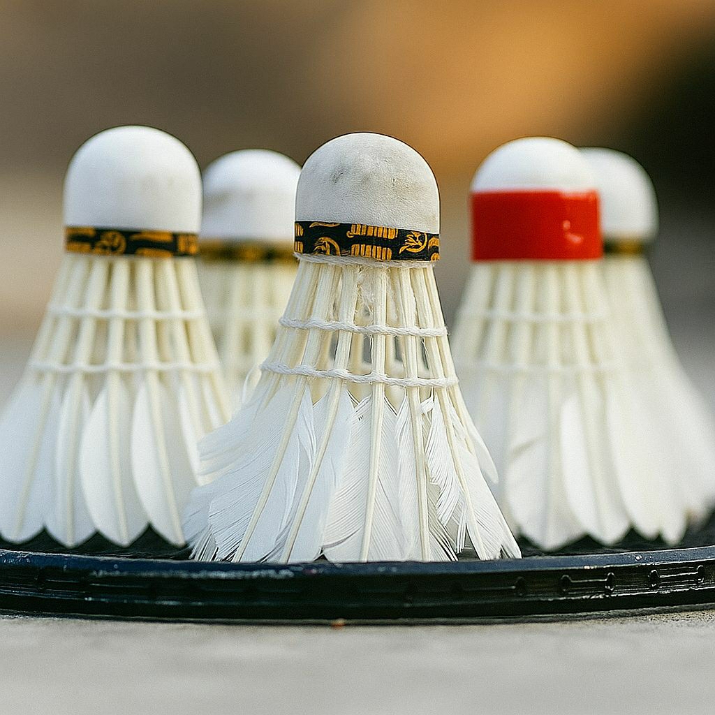 Grade B Shuttlecock Badminton Shuttle Kok Bulu Tangkis Bola Raket Sutel Shutel Shutle cok koc Racket