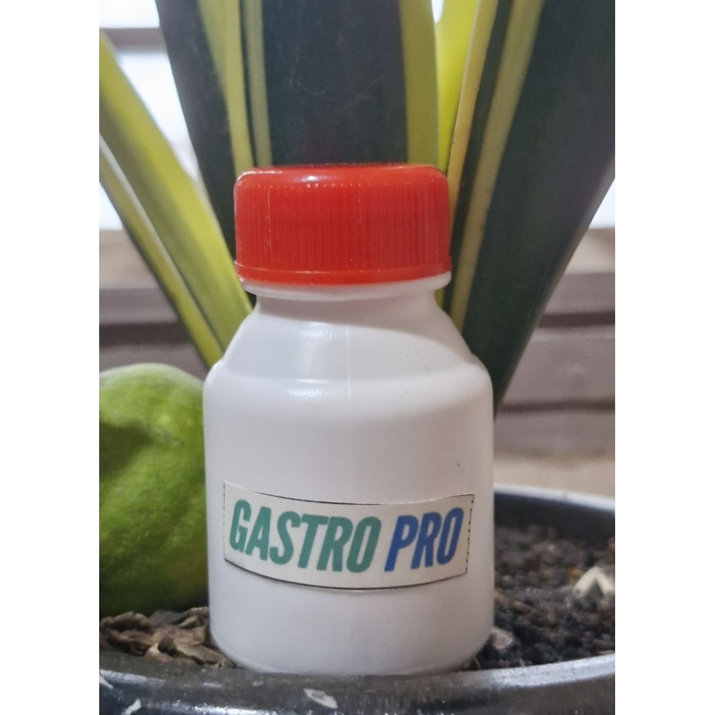 

Gastro Pro