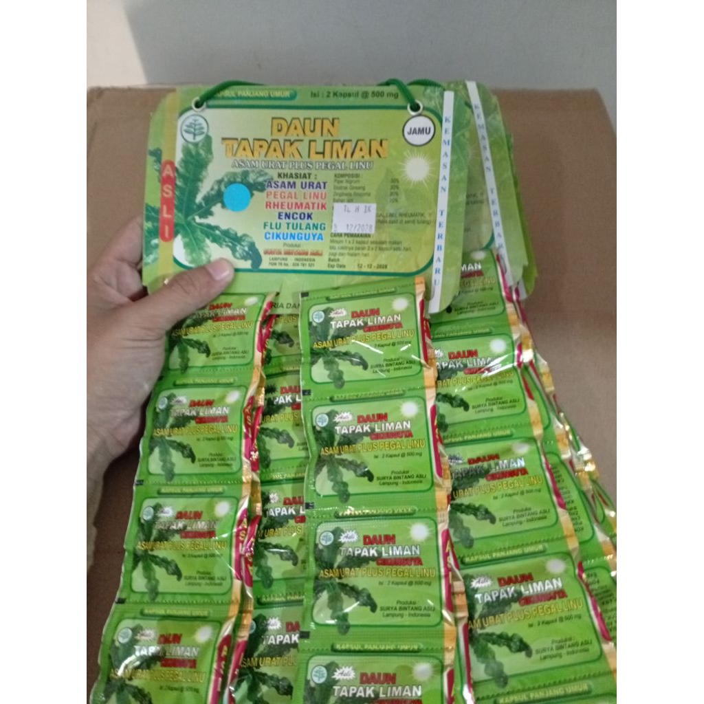 

daun tapak liman asam urat cikungunya original maju sukses harga 1 hanger isi 20 sachet