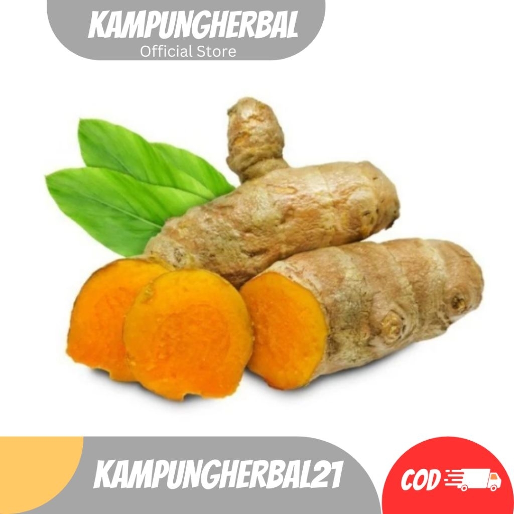 

BIANG EMPU TEMULAWAK SEGAR 1KG FRESH