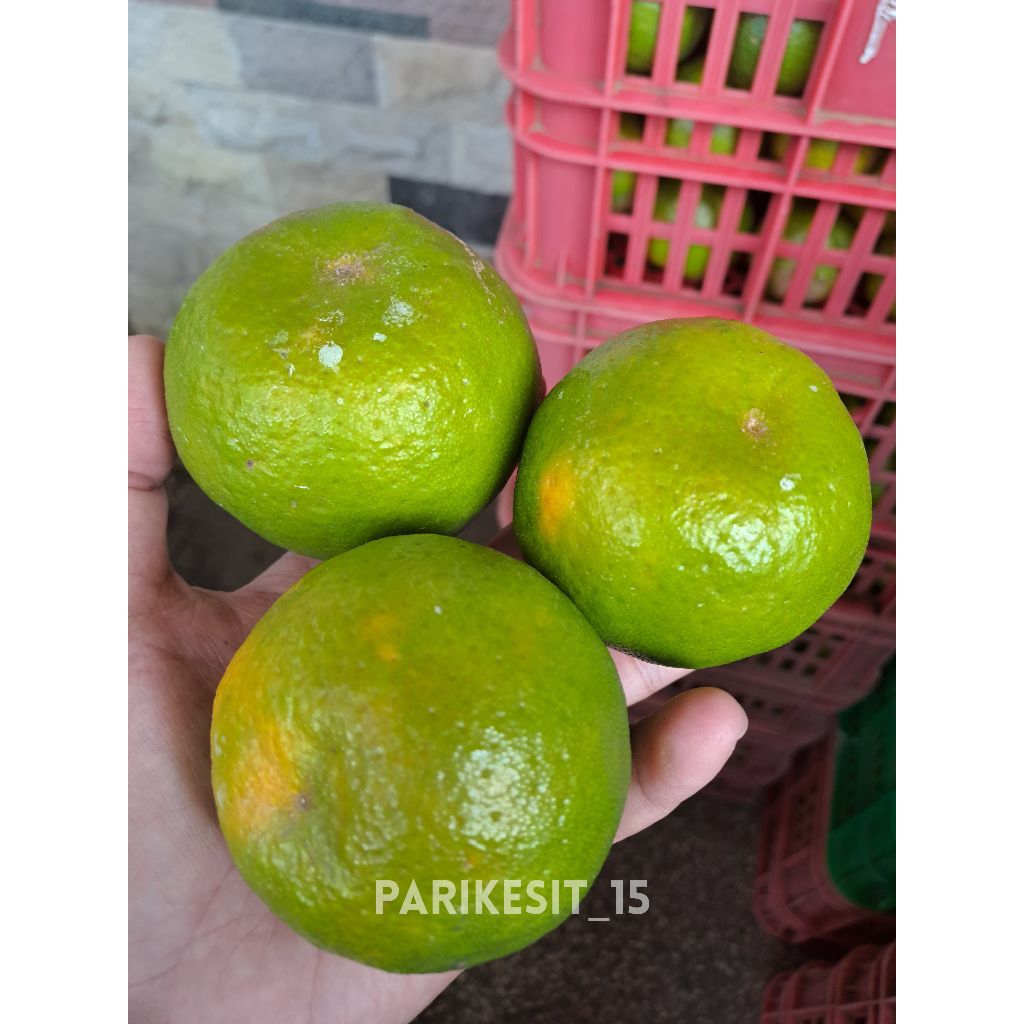 

Jeruk Keprok Batu 55 1 kg