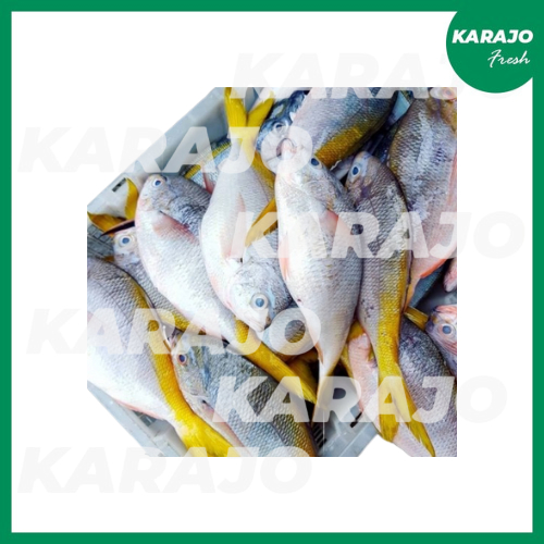 

Ikan Ekor Kuning Fresh 500g/1000g