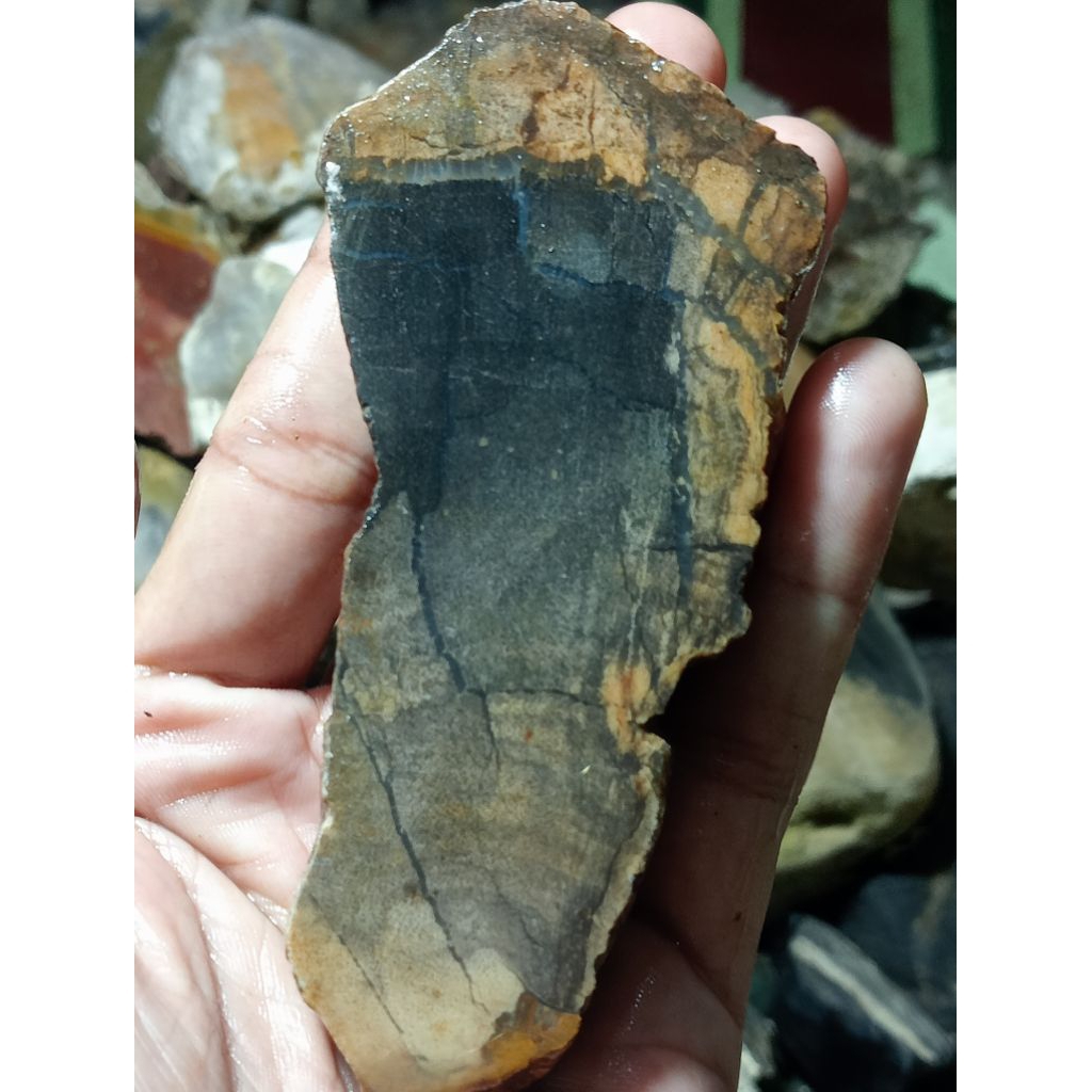 batu akik posil kelor