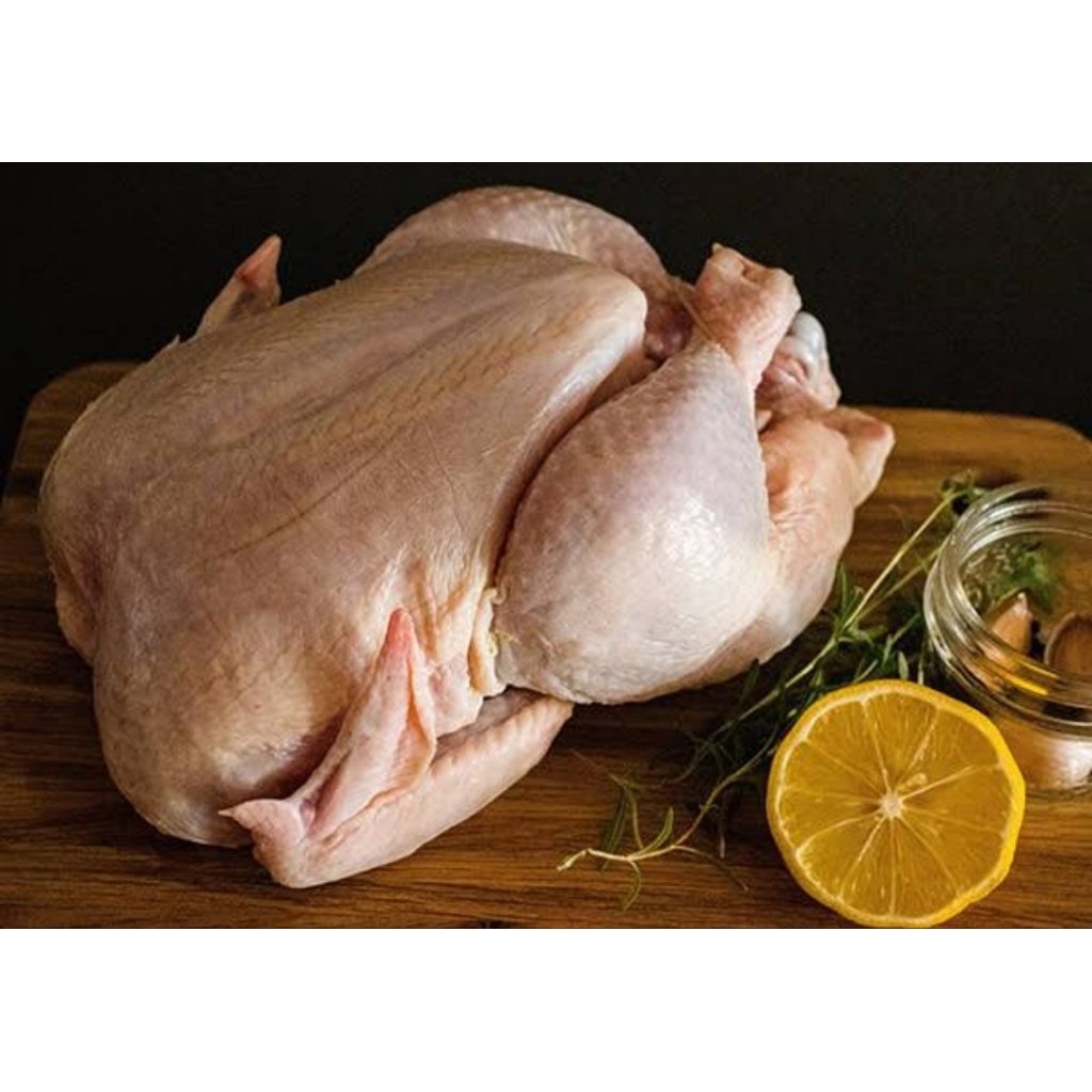 

Ayam Broiler Utuh 700-800 gram