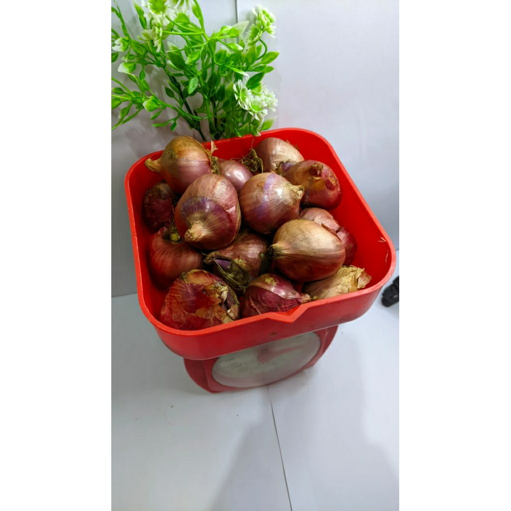 

Bawang merah garut 500g