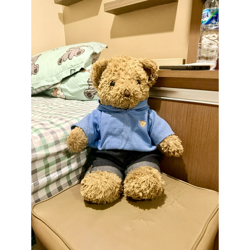 PRELOVED - TEDDY HOUSE ORI