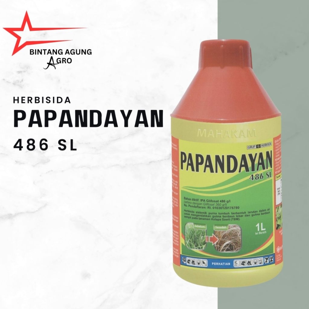 Papandayan 486 Sl