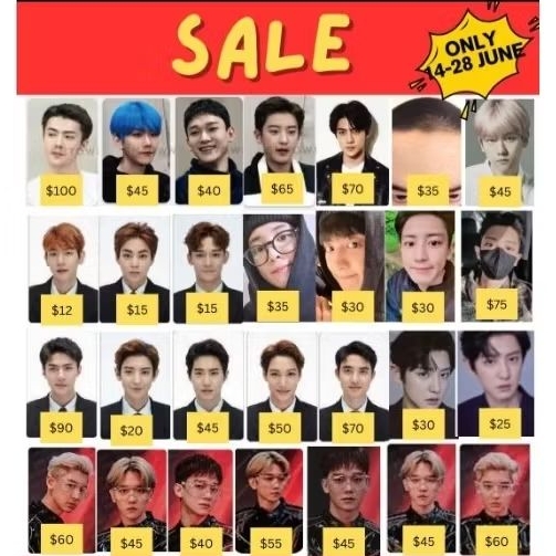 official photocard sehun chanyeol kyungsoo D.O. chen baekhyun ticket holder elyxion ecploration md m