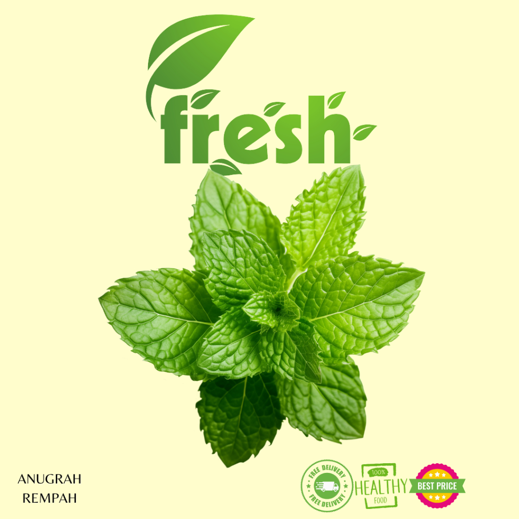 

Daun Mint Segar 1 Ikat Anugrah Rempah