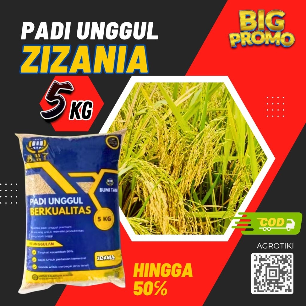 Benih padi unggul zizania original bibit padi zizania berkualitas kemasan 5kg