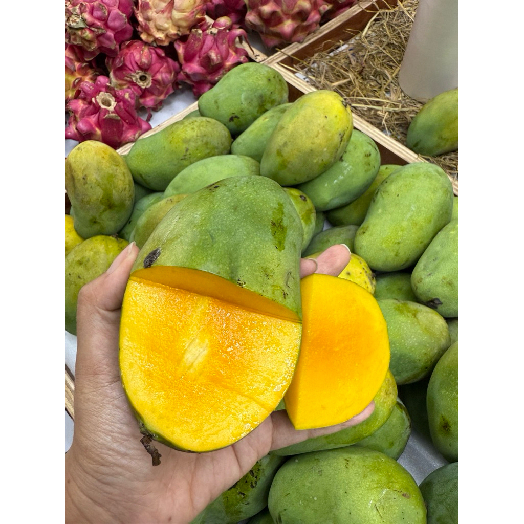 

Mangga Harum Manis Grade A masak pohon