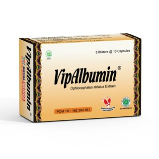 Vipalbumin Original Capsules Isi 30 - Albusmin Ektra Ikan Gabus Promo Murah